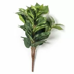 Coupon ???? 6 Pack: Green Pothos Bush by Ashland® ???? -Ashland Sales 10626988 21 1