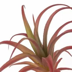 Budget ???? Assorted Succulent Pick by Ashland® ❤️ -Ashland Sales 10626994 20