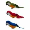 Best reviews of ???? 12 Pack: Assorted Feather Parrots by Ashland® ???? -Ashland Sales 10627157 1 1