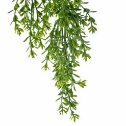 Coupon ???? 12 Pack: Green Boxwood Bush by Ashland® ???? -Ashland Sales 10627315 20 1