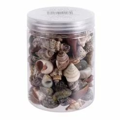 Best deal ✔️ 12 Pack: Natural & Dark Mixed Shells by Ashland® ???? -Ashland Sales 10627359 1 1