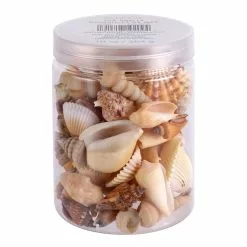 Coupon ???? 12 Pack: Natural Mixed Shells by Ashland® ???? -Ashland Sales 10627361 1 1