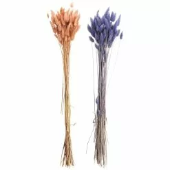 Discount ???? 8 Pack: Assorted Lagurus Bundle by Ashland® ✨