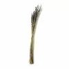 Best Pirce ???? Lavender Grass Bundle by Ashland® ???? -Ashland Sales 10628611 21