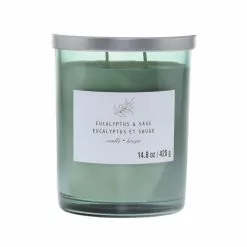Outlet ???? Eucalyptus & Sage 2-Wick Jar Candle by Ashland® ????