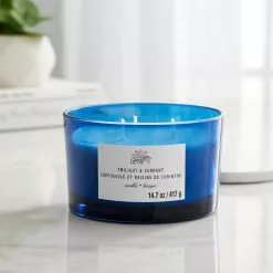 New ???? Twilight & Currant 3-Wick Jar Candle by Ashland® ✨ -Ashland Sales 10638416 20