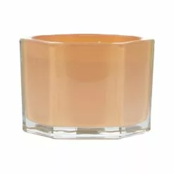 Best deal ???? Citrus & Amber 2-Wick Jar Candle by Ashland® ⌛ -Ashland Sales 10638423 4
