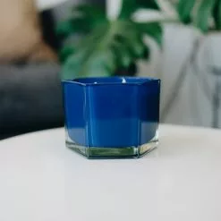 Best deal ???? Blue Plum & Currant 2-Wick Jar Candle by Ashland® ???? -Ashland Sales 10638425 3