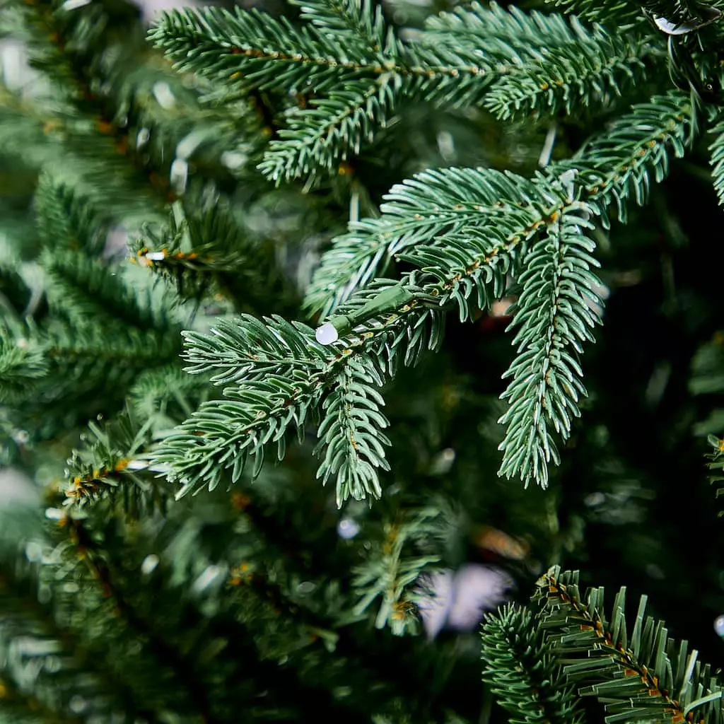 Cheap ???? 7.5ft. Pre-Lit Laurel Pine Artificial ???? Christmas Tree, Multicolor Twinkly™ LED Lights by Ashland® ???? 8 Cheap ???? 7.5ft. Pre-Lit Laurel Pine Artificial ???? Christmas Tree, Multicolor Twinkly™ LED Lights by Ashland® ???? - Image 6