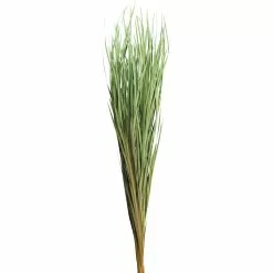 Cheapest ⌛ 8 Pack: Green Magnolia Flax Grass Bundle by Ashland® ????