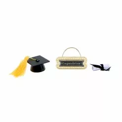Promo ???? 12 Pack: Mini Graduation Set by Ashland® ????