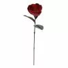 Best Pirce ???? Red Magnolia Stem by Ashland® ???? -Ashland Sales 10670749 1