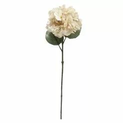 Deals ⌛ Cream Hydrangea Stem by Ashland® ????