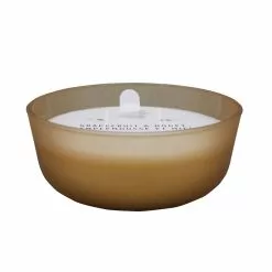 Cheap ???? 18.7oz. Grapefruit & Honey Candle by Ashland® ????
