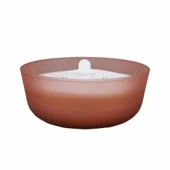 Outlet ???? 6 Pack: 18.7oz. Peony & Rose Candle by Ashland® ????