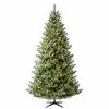Flash Sale ???? 7.5ft. Pre-Lit Fairyland Fir Artificial ???? Christmas Tree, Warm White Fairy LED Lights by Ashland® ???? -Ashland Sales 10671959