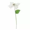 Best reviews of ???? White Poinsettia Stem by Ashland® ????