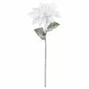 Coupon ???? White Poinsettia Stem by Ashland® ???? -Ashland Sales 10673441 1