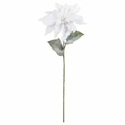 Coupon ???? White Poinsettia Stem by Ashland® ????