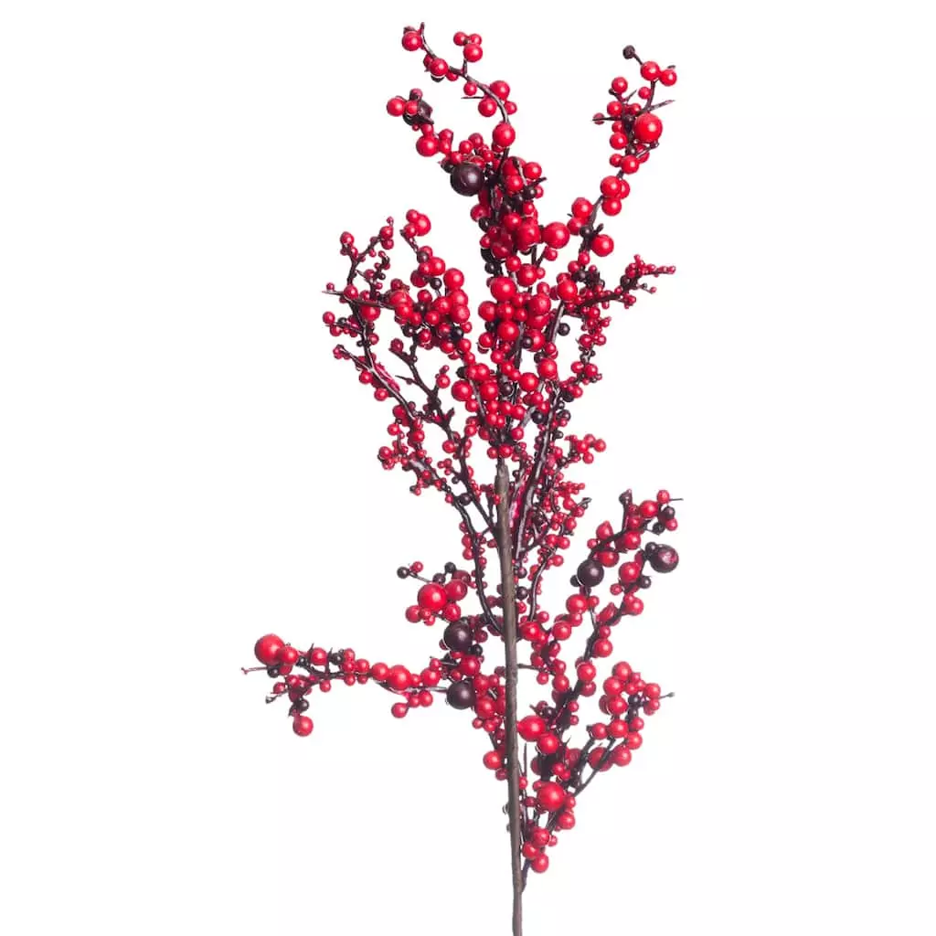 Best reviews of ???? Red Clustered Berry Stem by Ashland® ???? 4 Best reviews of ???? Red Clustered Berry Stem by Ashland® ???? - Image 2