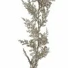 Wholesale ???? 6ft. Champagne Juniper Pine Garland by Ashland® ✔️ -Ashland Sales 10673731 1