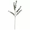 Cheapest ⭐ Frosted Eucalyptus Stem by Ashland® ???? -Ashland Sales 10673887 1