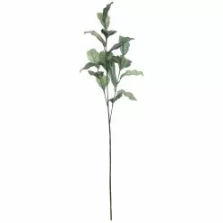 Best Pirce ✔️ Glitter Green Magnolia Leaf Stem by Ashland® ????