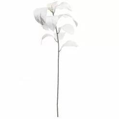 Buy ???? White Velvet Magnolia Leaves by Ashland® ⭐