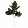 Deals ???? Dark Green Magnolia Leaves Stem by Ashland® ????