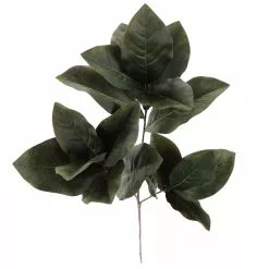 Deals ???? Dark Green Magnolia Leaves Stem by Ashland® ???? -Ashland Sales 10674564 2