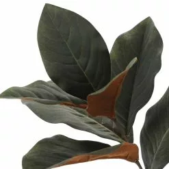 Deals ???? Dark Green Magnolia Leaves Stem by Ashland® ???? -Ashland Sales 10674564 3
