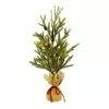 Brand new ???? 24" Pine Tree with Pinecones in Burlap Bag by Ashland® ????