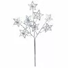Buy ???? Silver Glitter Star Pick by Ashland® ???? 1 Buy ???? Silver Glitter Star Pick by Ashland® ???? -Ashland Sales 10675448 1