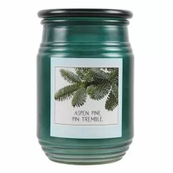Cheap ✨ Aspen Pine Jar Candle by Ashland® ????