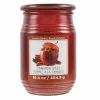 Promo ???? Cinnamon Apples Jar Candle by Ashland® ???? -Ashland Sales 10675793 1