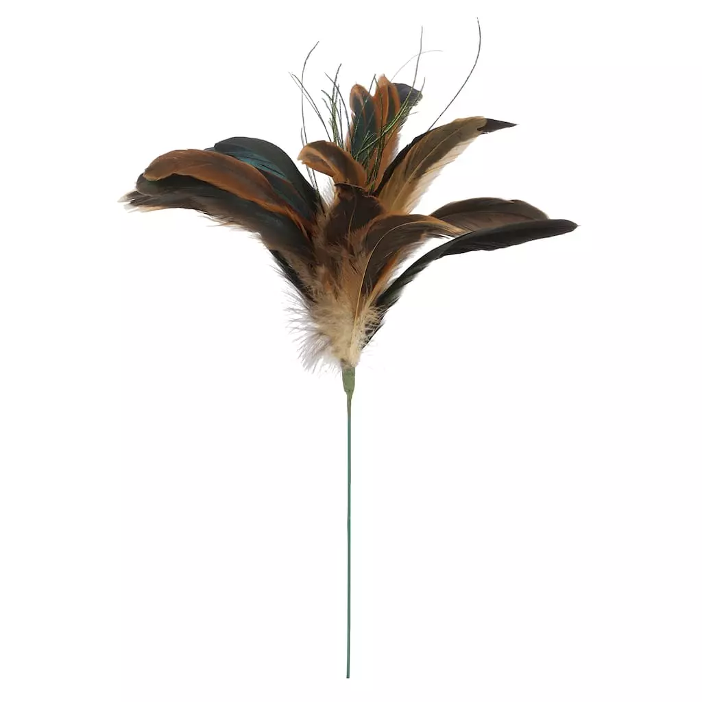 Wholesale ⌛ Natural Brown Peacock Feather Pick by Ashland® ???? 3 Wholesale ⌛ Natural Brown Peacock Feather Pick by Ashland® ????