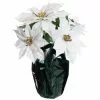 Best Sale ???? White Potted Poinsettia with Green Foil by Ashland® ⌛ -Ashland Sales 10676008 1