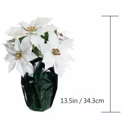 Best Sale ???? White Potted Poinsettia with Green Foil by Ashland® ⌛ -Ashland Sales 10676008 3