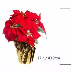 Wholesale ???? Red Velvet Potted Poinsettia with Gold Foil by Ashland® ???? -Ashland Sales 10676015 3