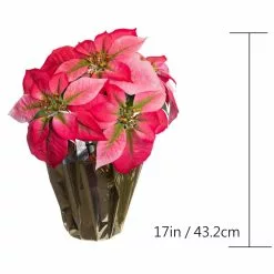 Wholesale ???? Pink Potted Poinsettia with Gold Foil by Ashland® ⭐ -Ashland Sales 10676020 3