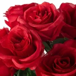 Promo ???? 12 Pack: Red Rose Bush by Ashland® ⭐ -Ashland Sales 10676296 20
