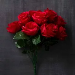 Promo ???? 12 Pack: Red Rose Bush by Ashland® ⭐ -Ashland Sales 10676296 22