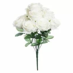 Best deal ???? Cream Rose Bush by Ashland® ????