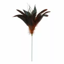 Cheap ✨ Chocolate Peacock Feather Pick by Ashland® ????