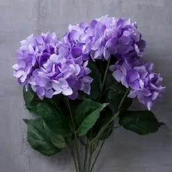 Coupon ???? Purple Hydrangea Bush by Ashland® ???? -Ashland Sales 10677449 22