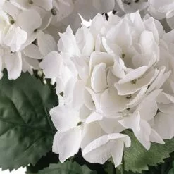 New ???? 12 Pack: White Hydrangea Bush by Ashland® ???? -Ashland Sales 10677450 20 1