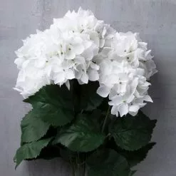 New ???? 12 Pack: White Hydrangea Bush by Ashland® ???? -Ashland Sales 10677450 22 1