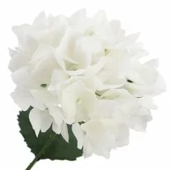 Best Sale ???? White Hydrangea Bush by Ashland® ???? -Ashland Sales 10677450 3