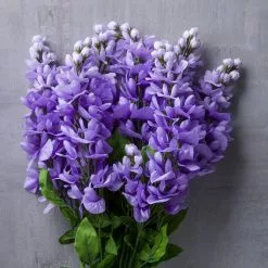 Best Sale ???? Purple Wisteria Bush by Ashland® ???? -Ashland Sales 10677451 22