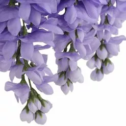 Best Sale ???? Purple Wisteria Bush by Ashland® ???? -Ashland Sales 10677451 6